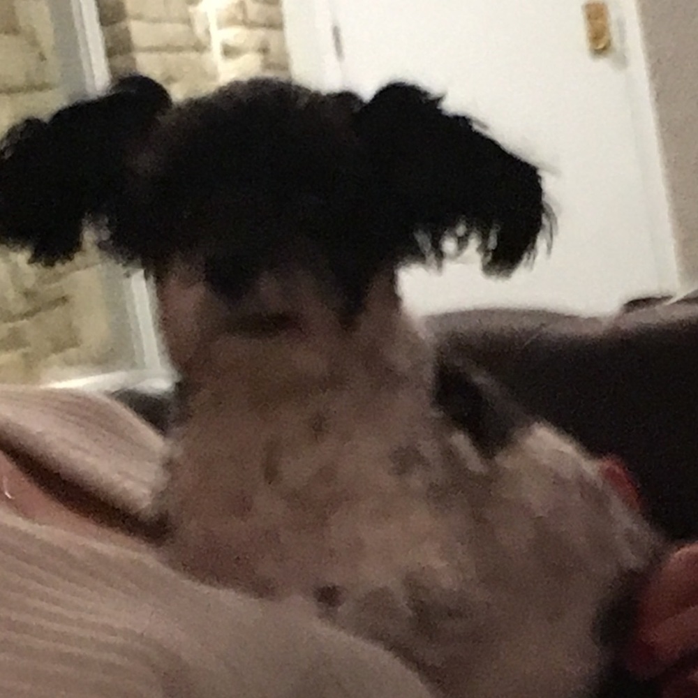 Meet your Posher, Isabelle